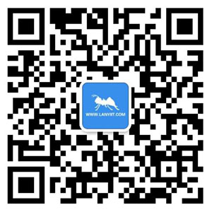 蓝蚁换汇官方微信客服二维码